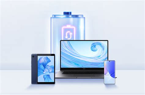 huawei consumer official site.